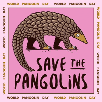 Happy World Pangolin Day