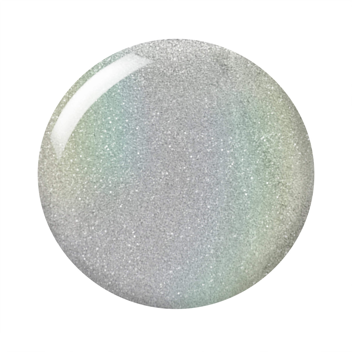 Holographic Nail Paint | Silver Stardust F-HNP4
