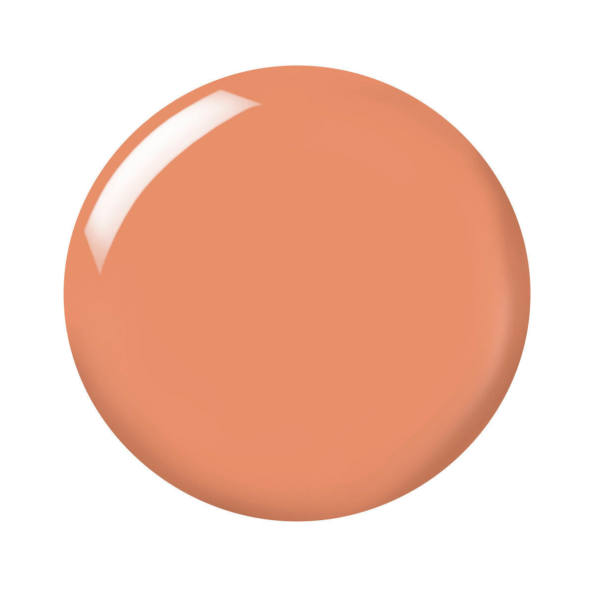 Turbo Terracotta by Barry M nail polish