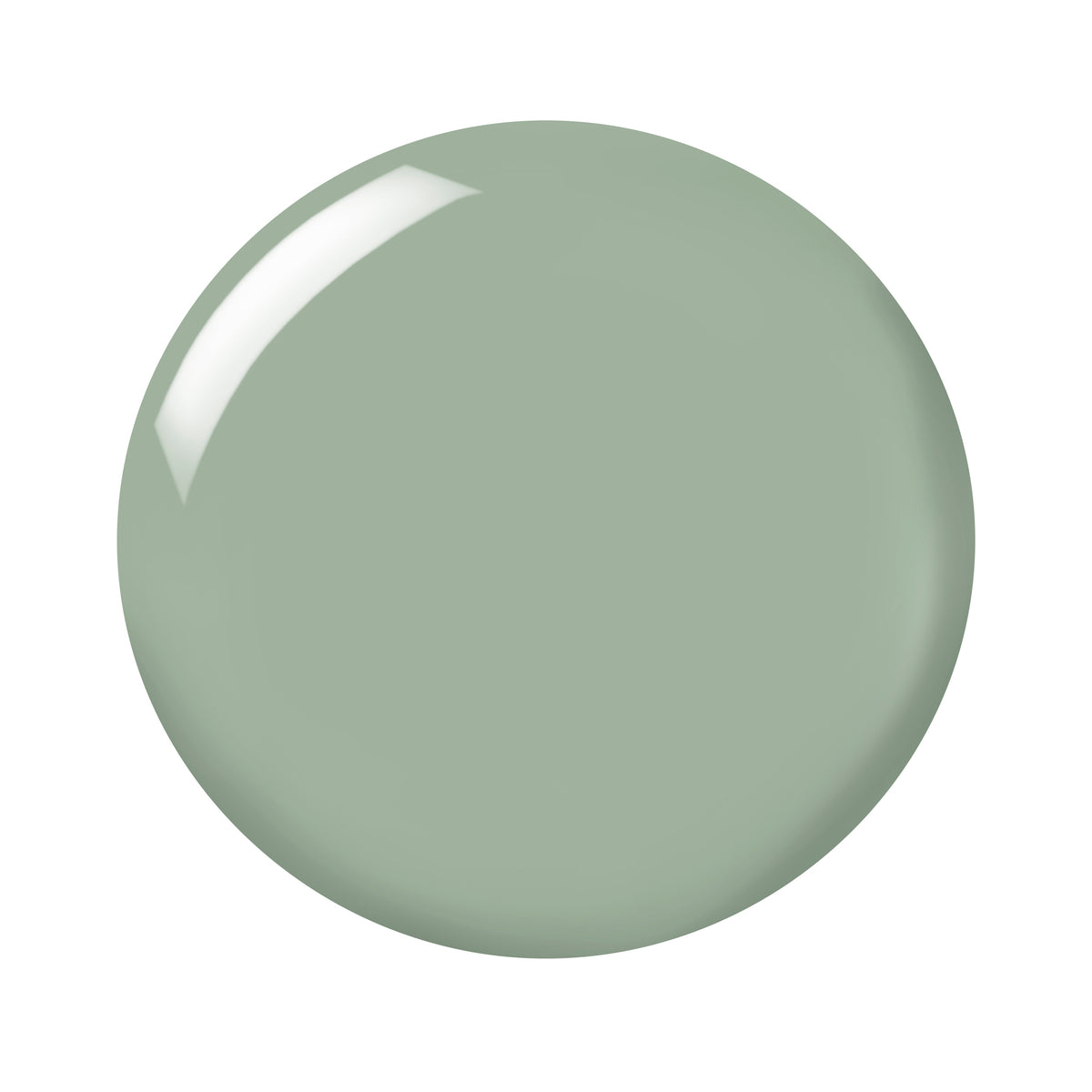 Go Go Green by Barry M nail polish